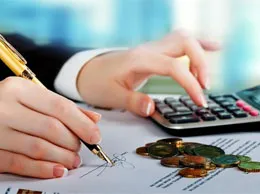 Chartered Accountant