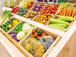 Grocery Stores