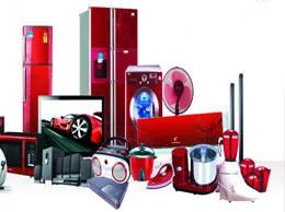 Electronics and Home Appliance Stores